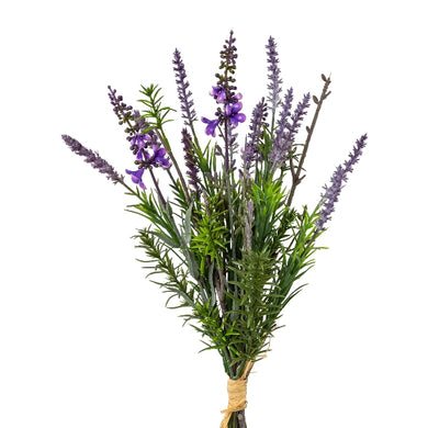Lavendelbund 'Provence'