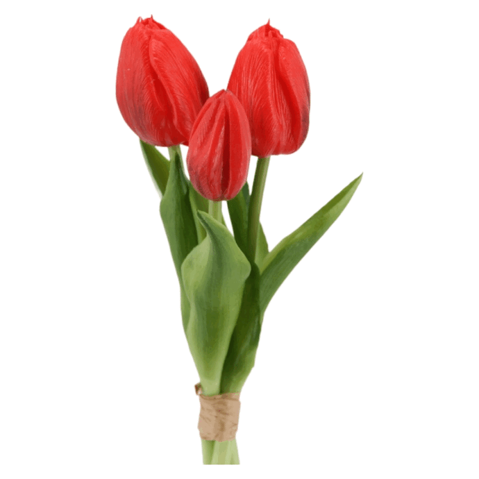 Tulpenbund x 3 'soft touch' rot