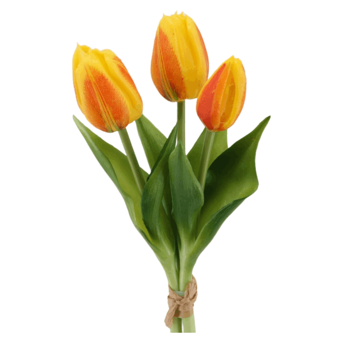 Tulpenbund x 3 'soft touch' gelb-orange