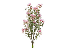 Laden Sie das Bild in den Galerie-Viewer, Blumen-Bündel 'Moschus' x 4 rosa