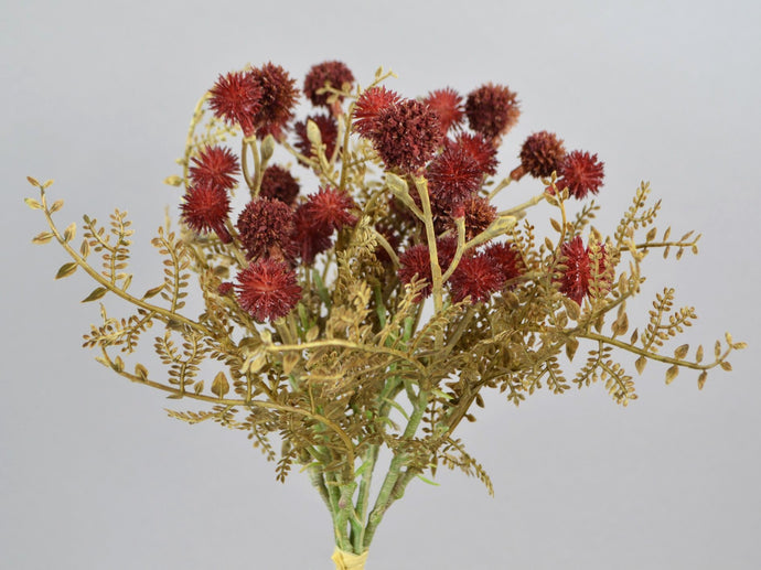 Mini-Allium Bündel, burgund