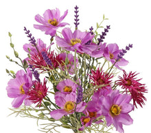 Laden Sie das Bild in den Galerie-Viewer, Strauß Cosmea-Lavendel-Mix violet