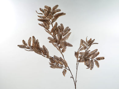 Mimosa-Zweig x3, tee