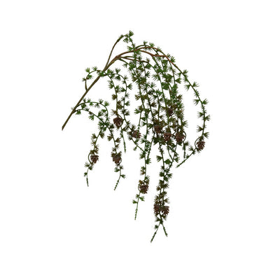 Steineibenzweig