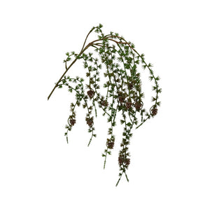 Steineibenzweig