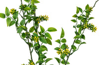 Laden Sie das Bild in den Galerie-Viewer, Blattzweig 'Strauch-Jasmin' grün