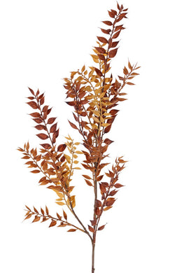 Ruscus x 2 braun