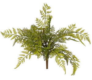 Farnbusch 'Wood'