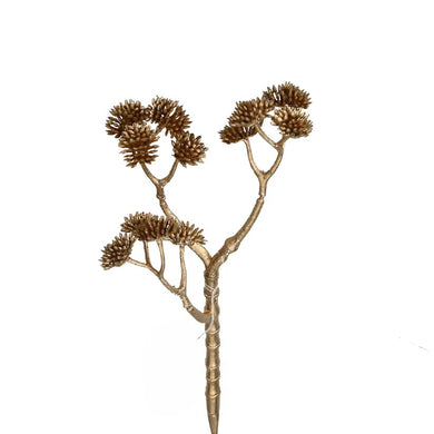 Sedum Pick x 3 gold