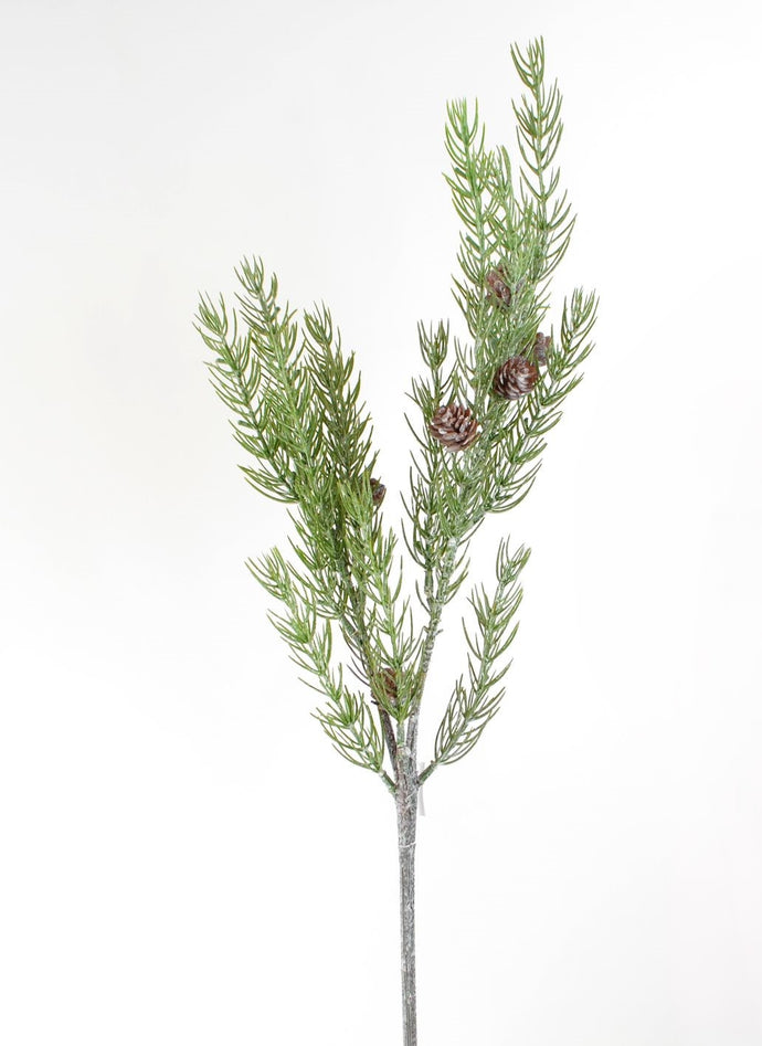 Fichten-Zweig mit Zapfen