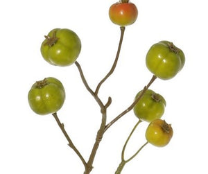 Apfelzweig grün