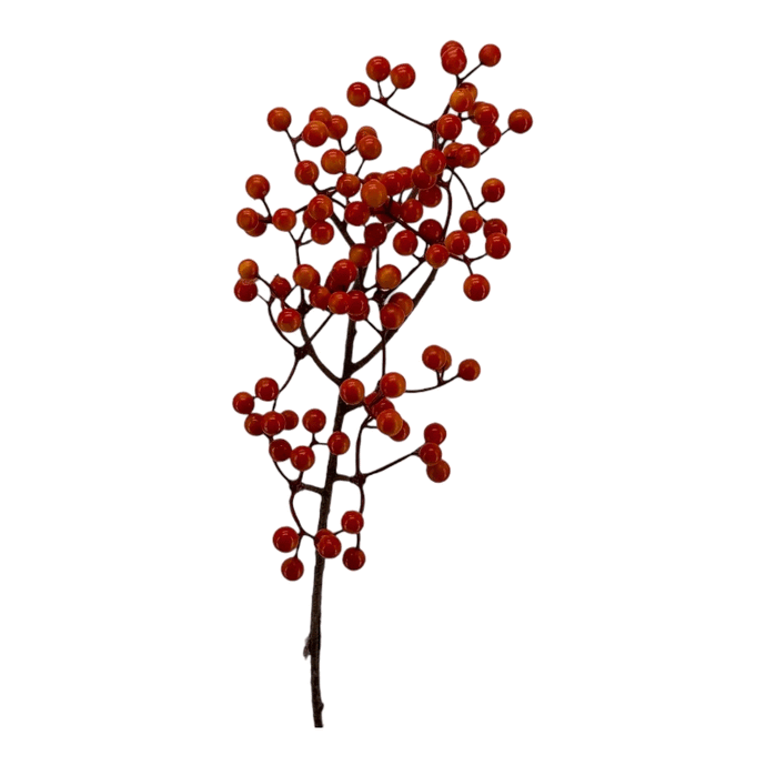 Beerenzweig  'Inghild' rot