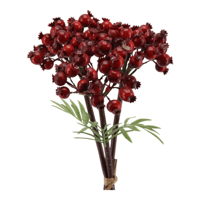 Vogelbeeren-Bund  rot