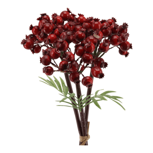 Vogelbeeren-Bund  rot