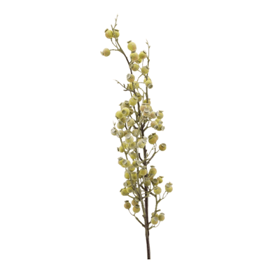 Beerenzweig grün-creme