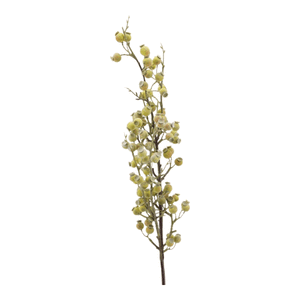 Beerenzweig grün-creme