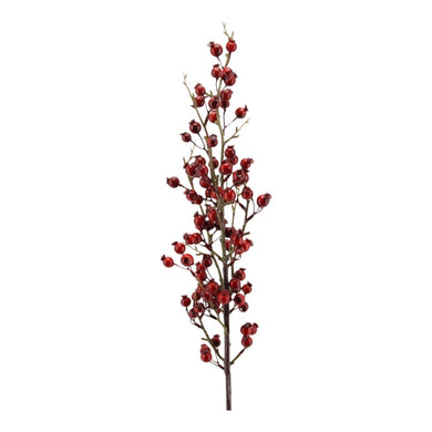 Beerenzweig 'Edelgard' rot