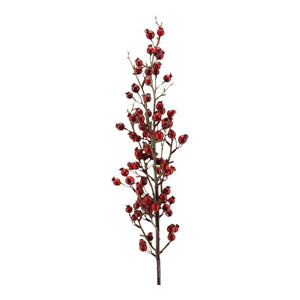 Beerenzweig 'Edelgard' rot