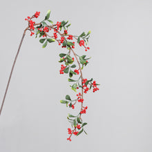 Laden Sie das Bild in den Galerie-Viewer, Beeren-Zweig &#39;Constanze&#39; red