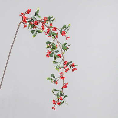 Beeren-Zweig 'Constanze' red