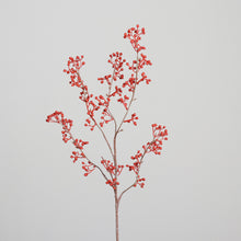 Laden Sie das Bild in den Galerie-Viewer, Beeren-Zweig &#39;Augusta&#39; red