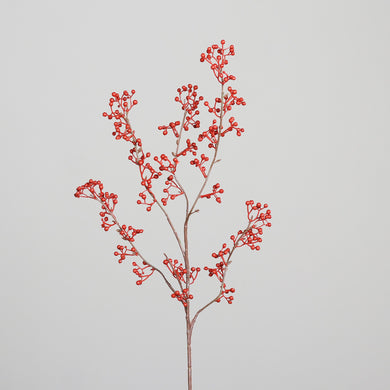 Beeren-Zweig 'Augusta' red