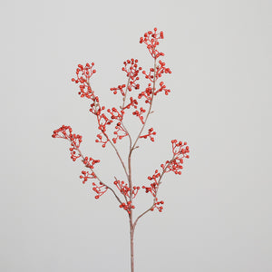 Beeren-Zweig 'Augusta' red