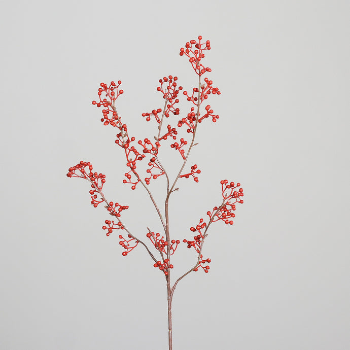 Beeren-Zweig 'Augusta' red