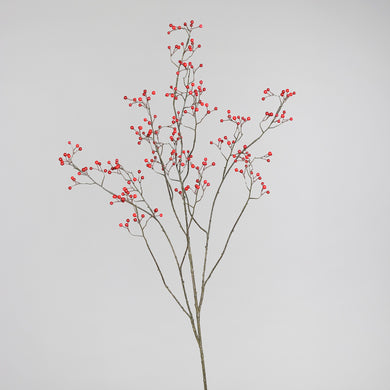 Beeren-Zweig 'Marie-Luise' red XXL