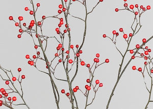 Beeren-Zweig 'Marie-Luise' red XXL