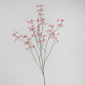Beeren-Zweig 'Marie-Luise' red XXL