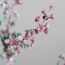 Laden Sie das Bild in den Galerie-Viewer, Kermesbeere lavendel