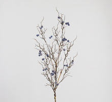 Laden Sie das Bild in den Galerie-Viewer, Beerenzweig &#39;Alma&#39; blau