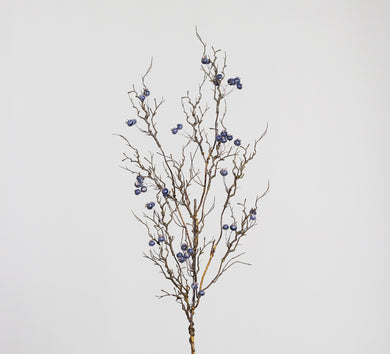 Beerenzweig 'Alma' blau