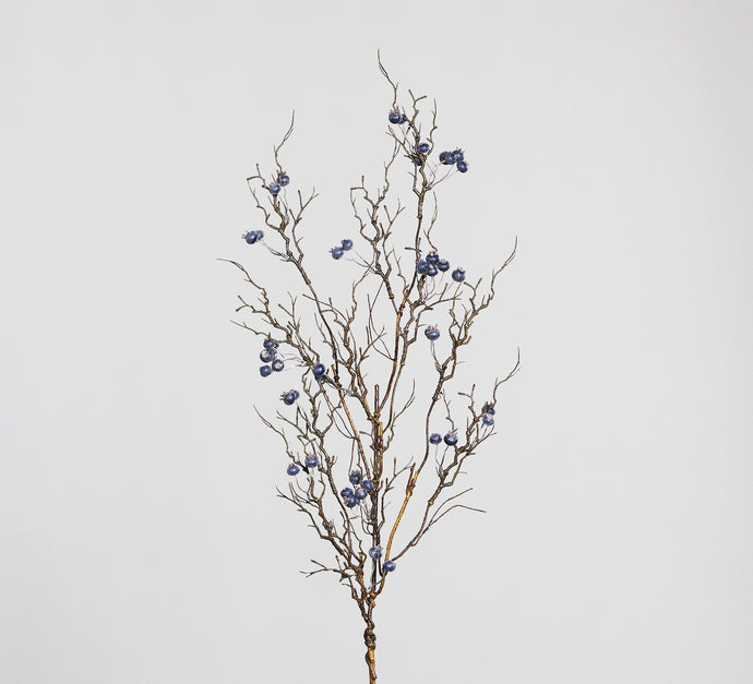 Beerenzweig 'Alma' blau