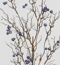 Laden Sie das Bild in den Galerie-Viewer, Beerenzweig &#39;Alma&#39; blau