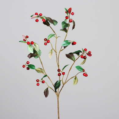 Goji-Beeren-Zweig