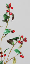 Laden Sie das Bild in den Galerie-Viewer, Goji-Beeren-Zweig