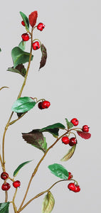 Goji-Beeren-Zweig
