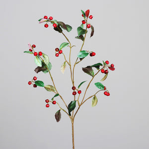 Goji-Beeren-Zweig