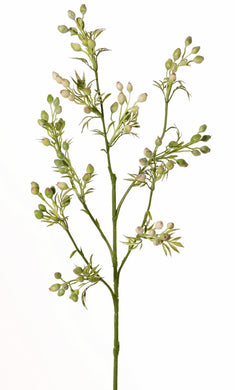 Tabak-Zweig grün