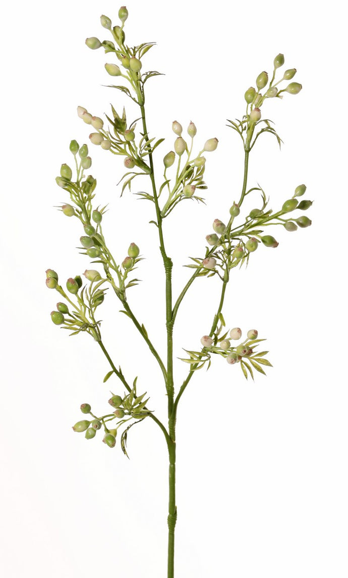 Tabak-Zweig grün