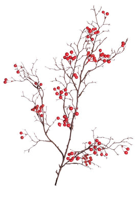 Beerenzweig 'Alma' rot