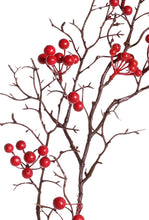 Laden Sie das Bild in den Galerie-Viewer, Beerenzweig &#39;Alma&#39; rot