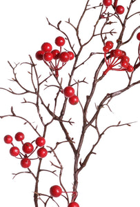 Beerenzweig 'Alma' rot