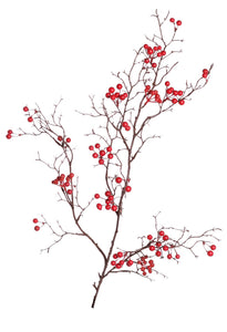 Beerenzweig 'Alma' rot