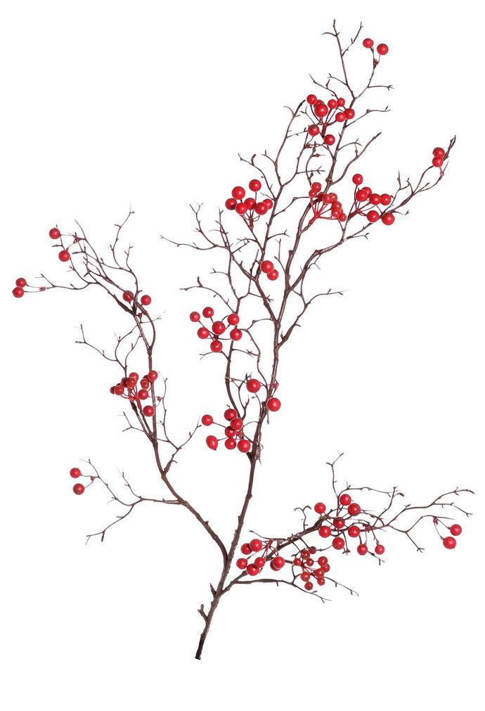 Beerenzweig 'Alma' rot