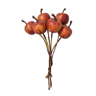 Apfel 'Braeburn' rot, klein am Draht x6