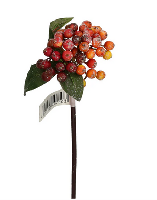 Beerenpick rot beglittert