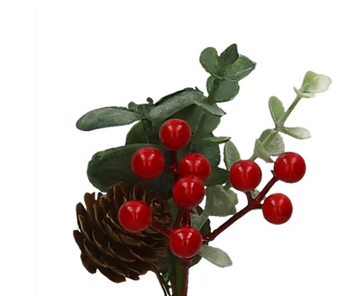 Beeren-Pick Eukalyptus root